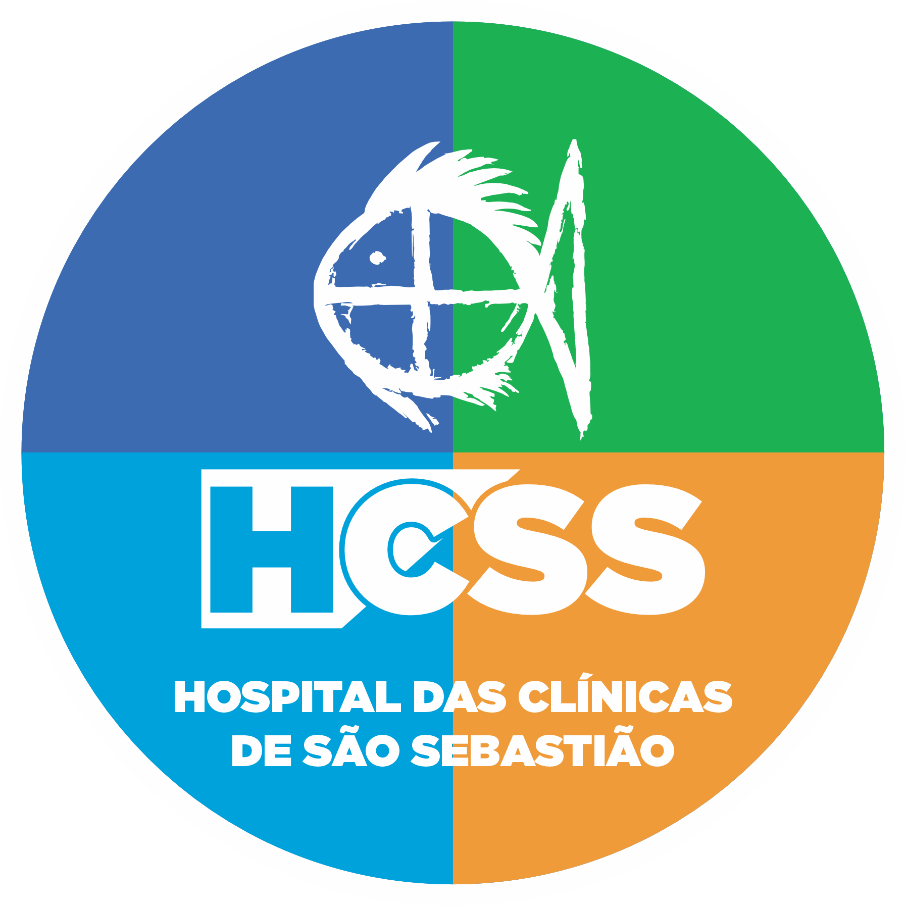 Logo HCSS